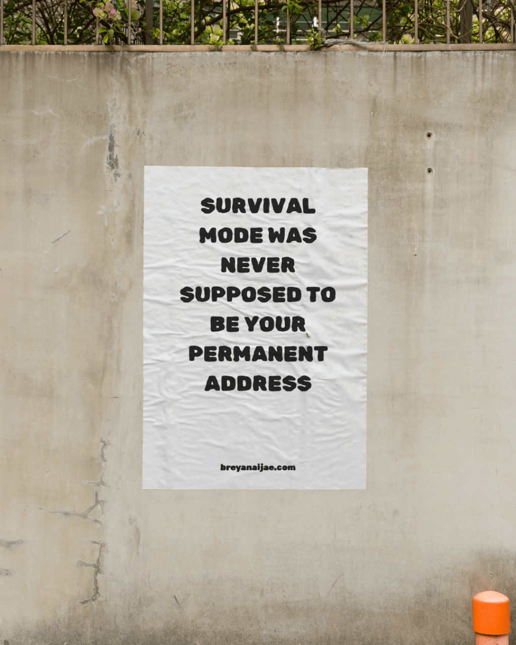 Who Are You When You’re Not&nbsp;Surviving?